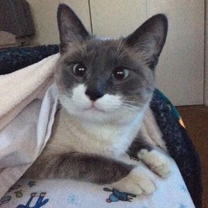 Meet your Posher, Leanne